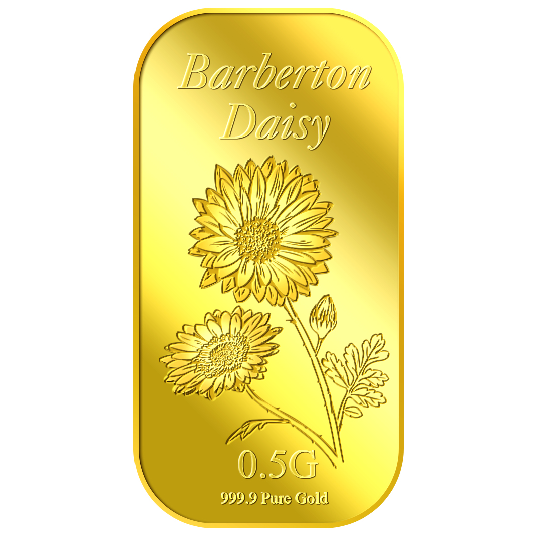 0.5g Daisy Gold Bar